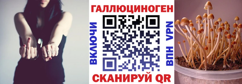 darknet какой сайт  Кольчугино  Псилоцибиновые грибы Psilocybe  хочу  